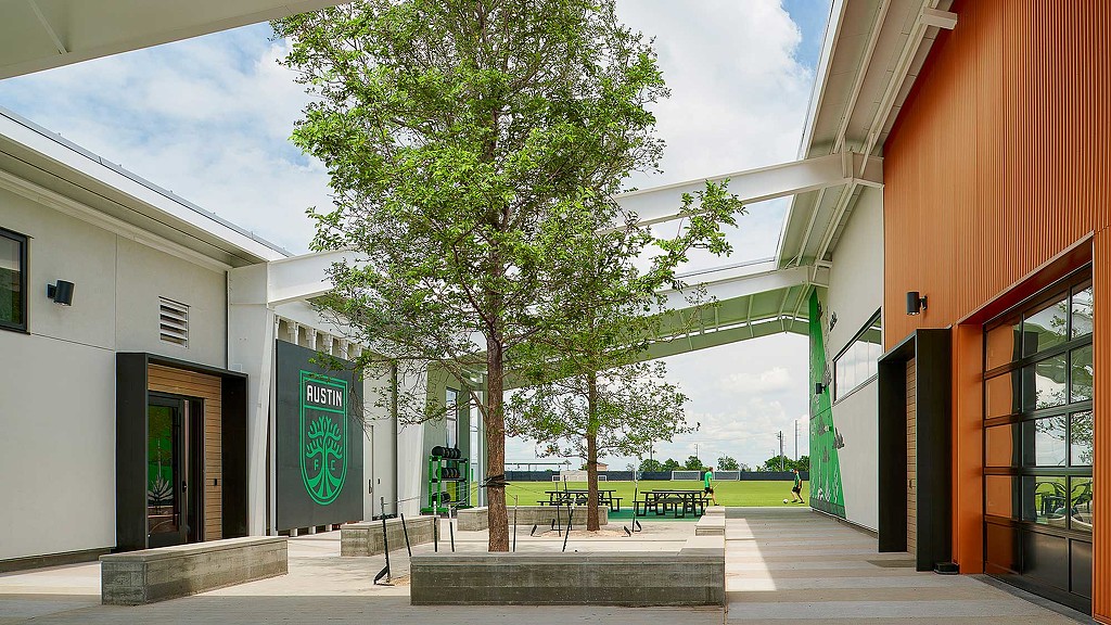 A tree in a courtyard between buildings.